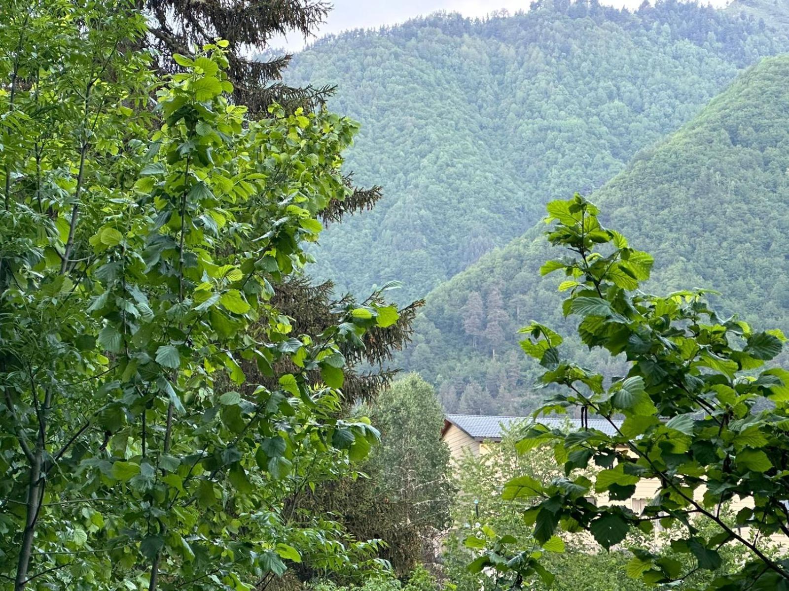 Mestiakhedi Exteriér fotografie