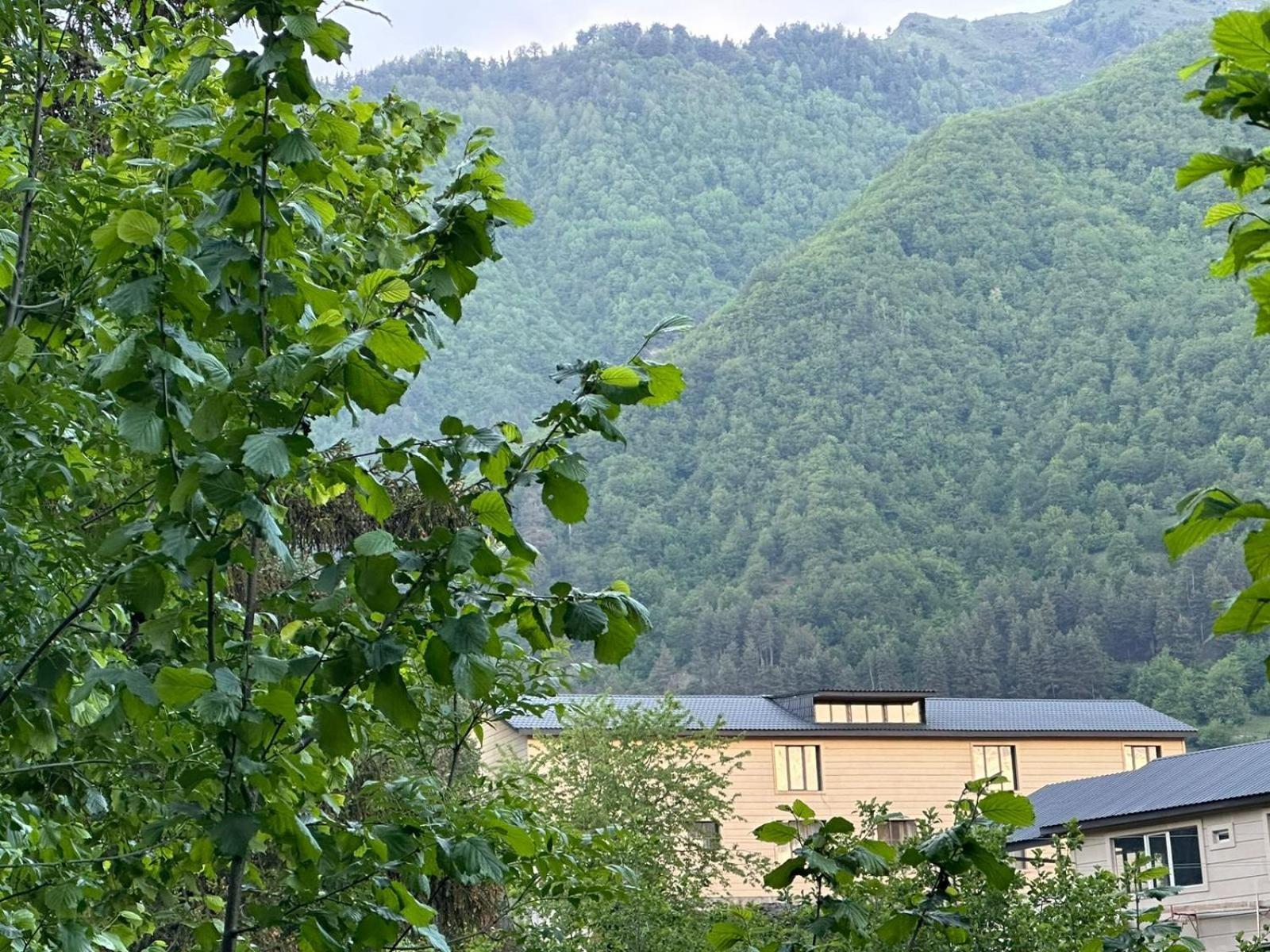 Hotel Mestiakhedi Exteriér fotografie