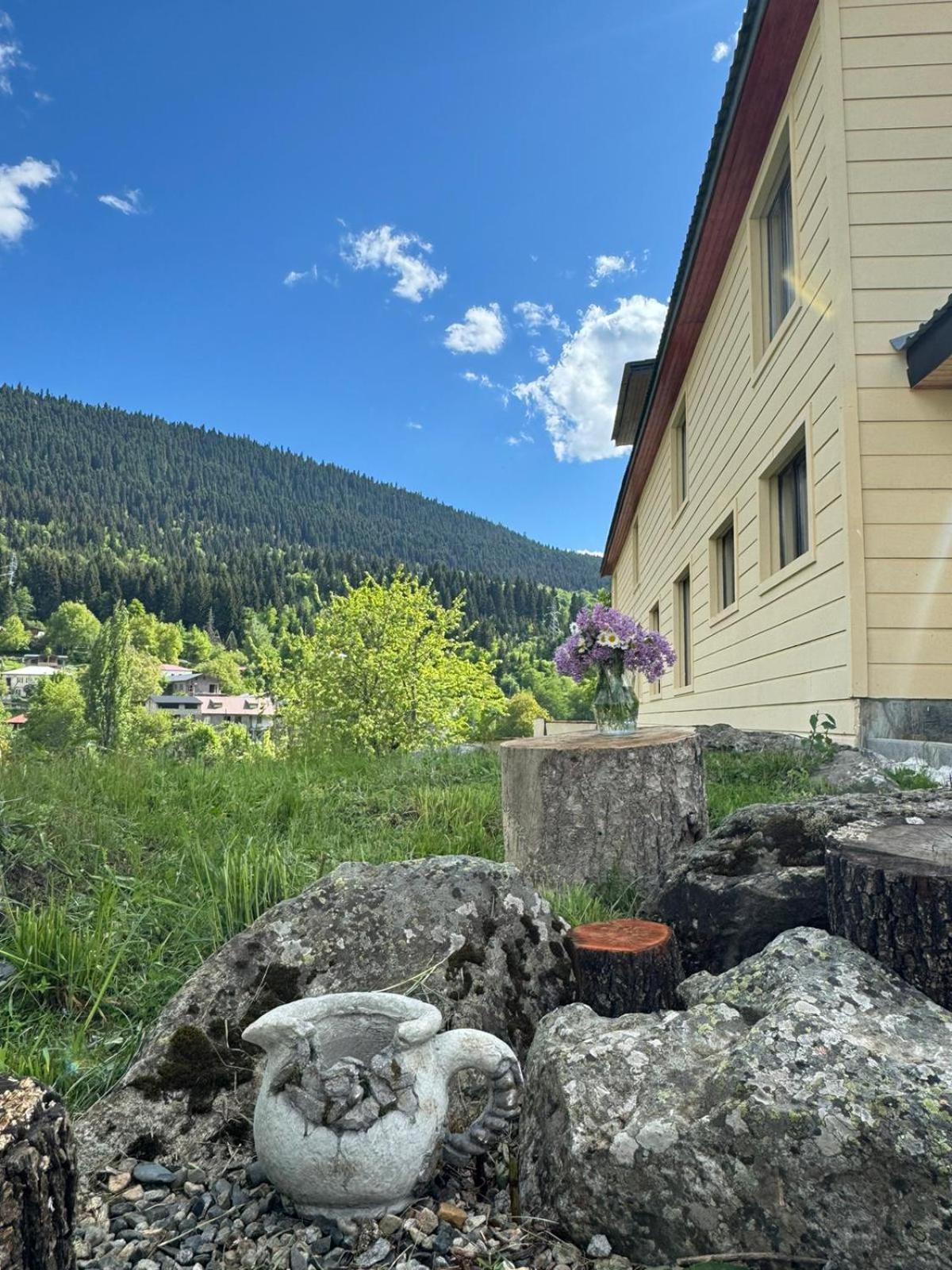 Hotel Mestiakhedi Exteriér fotografie